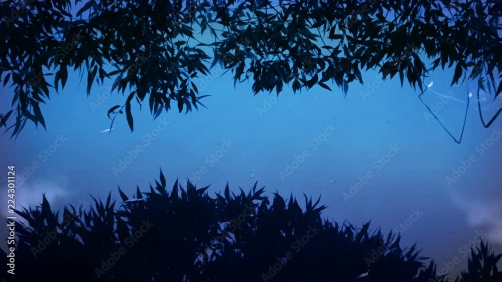 Silhouettes of Leaves in Moonlight Silhouettes of Leaves in Moonlight