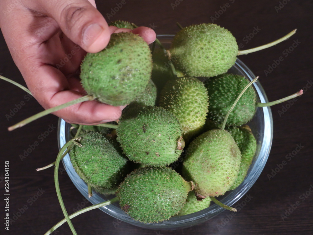 spiny gourd (Kantola),Spiny Gourd or Kantola vegetable isolated,Spiny