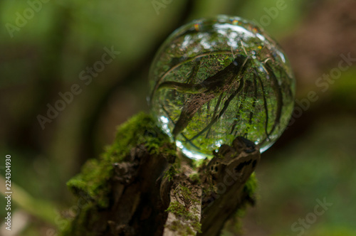 cristal ball reflection