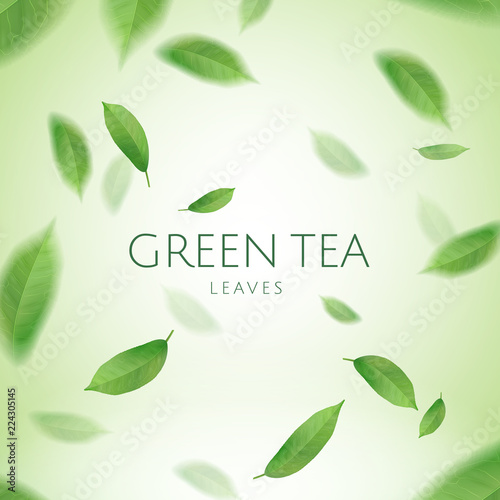 Green tea leaves wallpaper