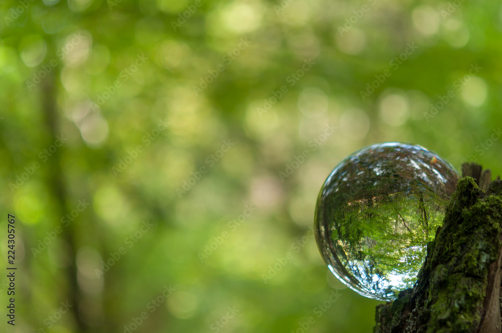cristal ball reflection cristal ball reflection