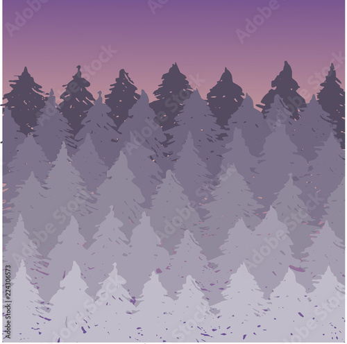 Vector misty spruce forest landscape. Brush silhouettes of coniferous trees. Vector violet illustration.
