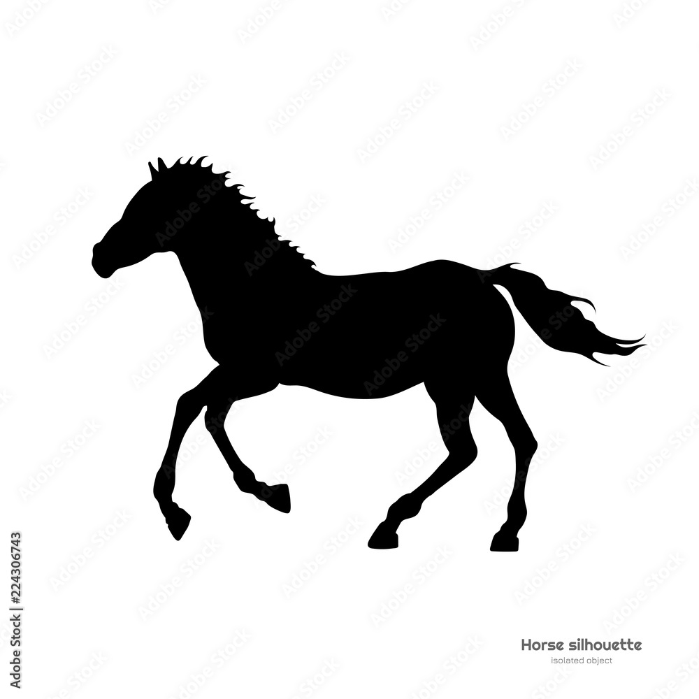 Naklejka Czarna sylwetka biegnącego źrebaka. Odosobniony szczegółowy rysunek koń na białym tle. Widok z boku