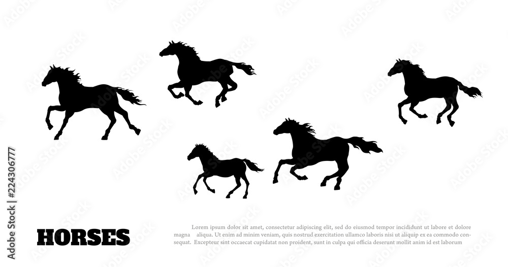 Black silhouette of running horses. Isolated detailed drawing of mustang herd on white background. Side view. Western landscape