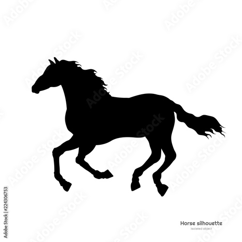 Black silhouette of running horse. Isolated detailed drawing of mustang on white background. Side view