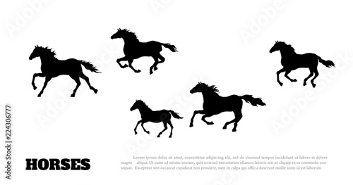 Black silhouette of running horses. Isolated detailed drawing of mustang herd on white background. Side view. Western landscape