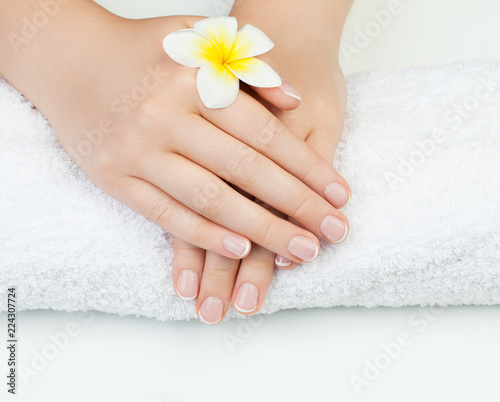  Perfect woman hand on white background with tropical flower. Manicure concept