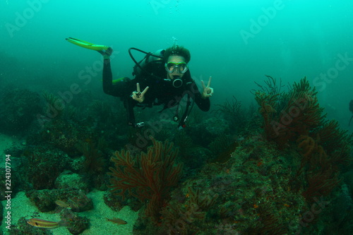 Diver underwater posing