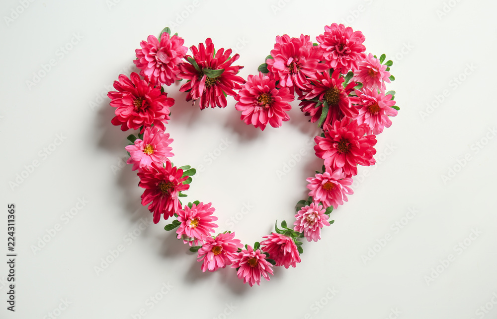 Heart made of beautiful chrysanthemum flowers on white background