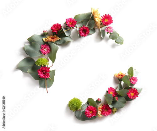 Beautiful composition with eucalyptus branches and chrysanthemum flowers on white background