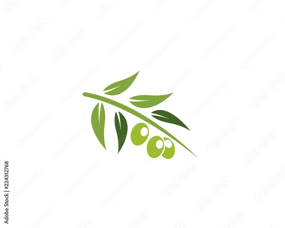 Set of Olive logo Template Set of Olive logo Template