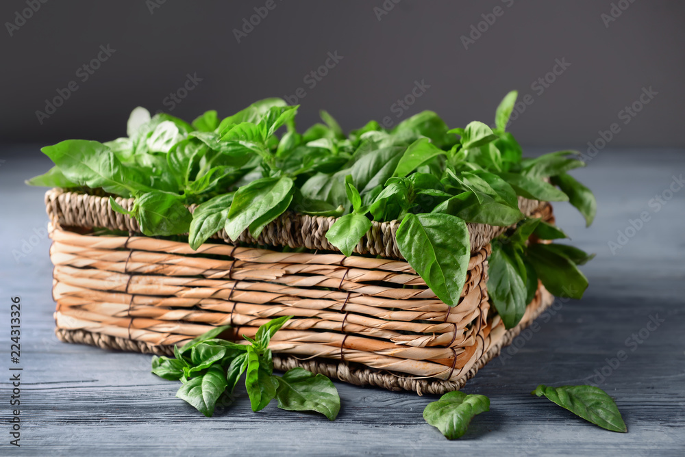 Naklejka premium Wicker basket with fresh green basil on wooden table