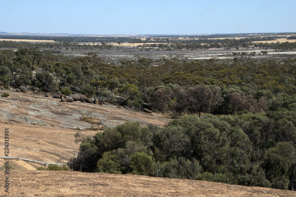 Hyden Australia, panorama of salt lakes from top of Wave rock with wheat fields in the distance