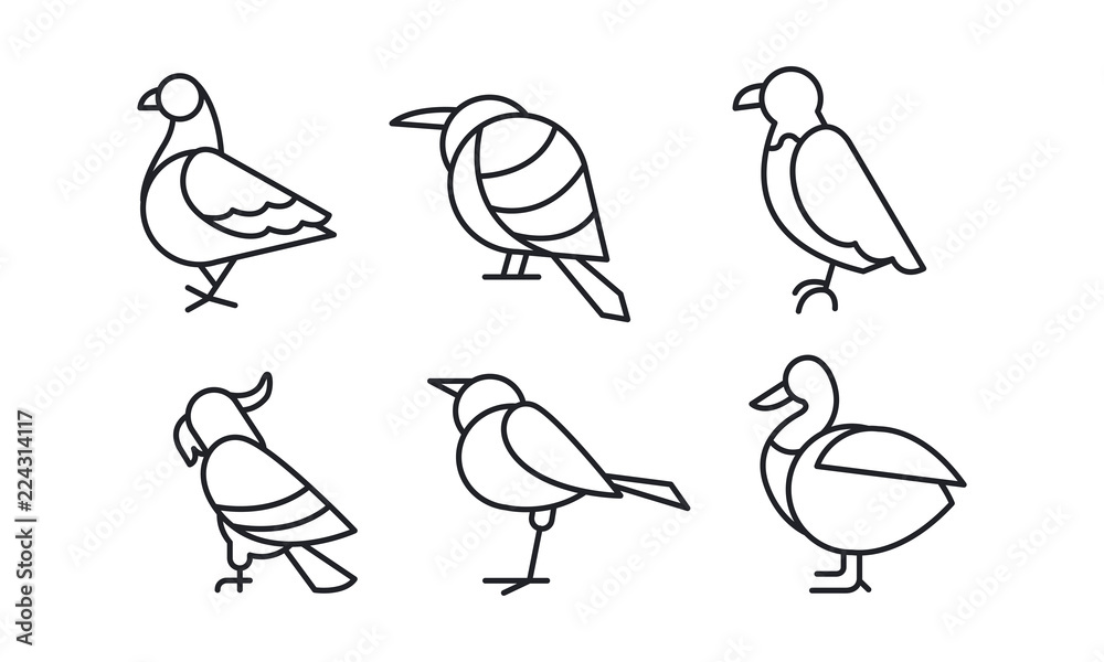 Vector set of birds in linear style. Pigeon, sparrow, eagle, parrot, duck and colibri
