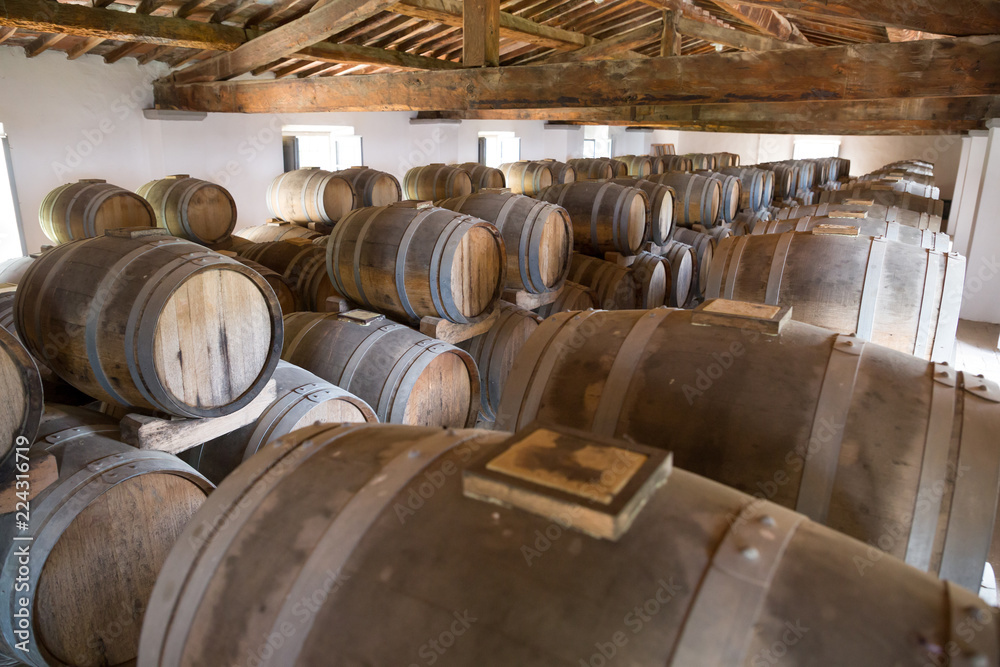 ITALY WINEMAKING BARRELS CELLAR ITALY WINEMAKING BARRELS CELLAR