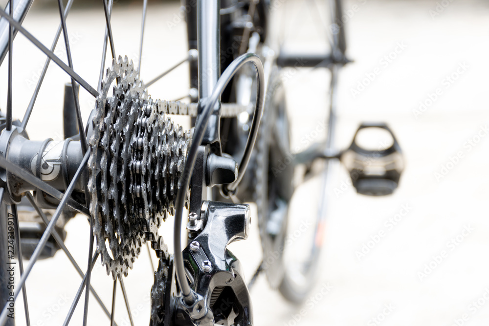 Fototapeta premium Bicycle gear, rear derailleur on white background.