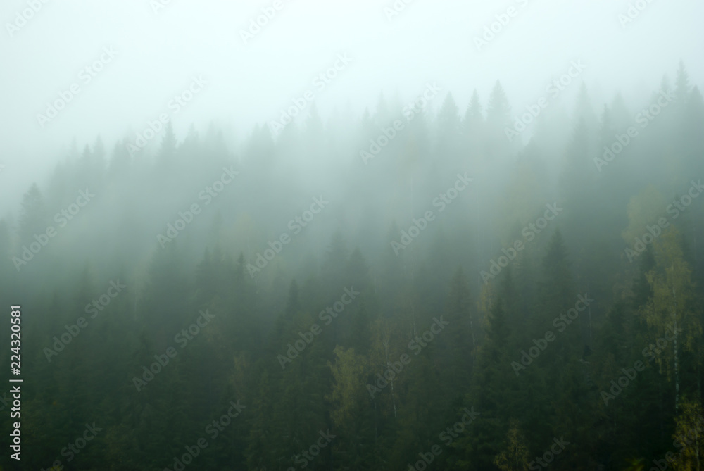 Blurred landscape - gloomy mountain forest covered with fog Blurred landscape - gloomy mountain forest covered with fog