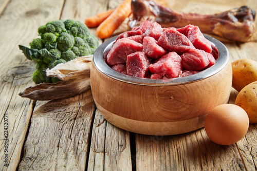 Slika na platnu Fresh food for a healthy pet