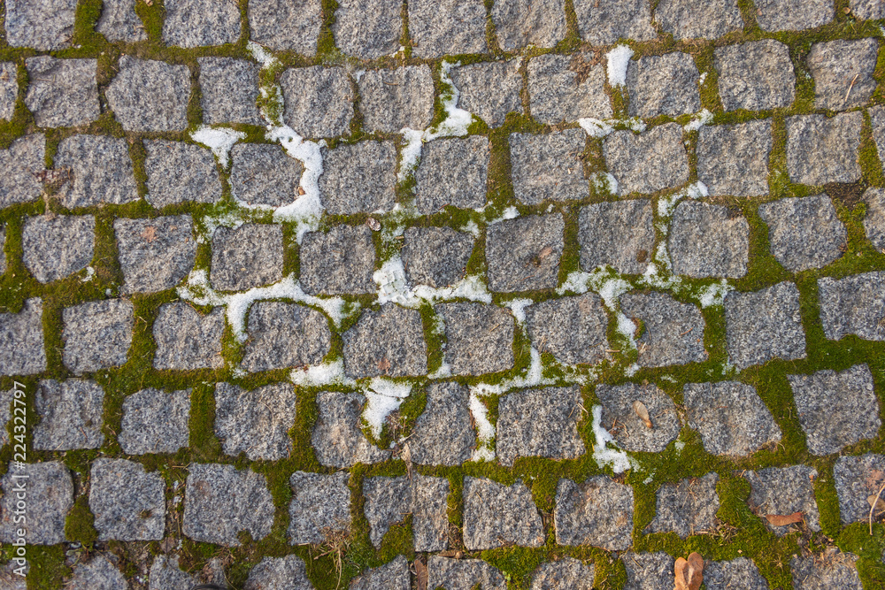 Obraz premium Pavement with moss and snow. background