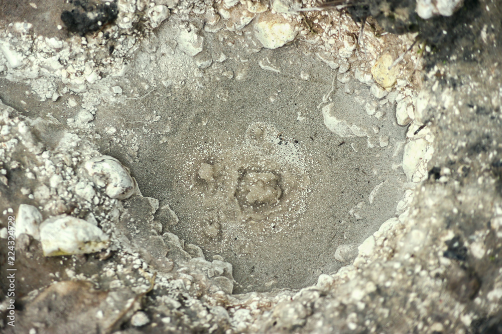 Spring with water from under the earth Spring with water from under the earth