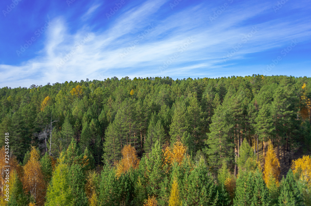 beautiful autumn landscape, forest and blue sky