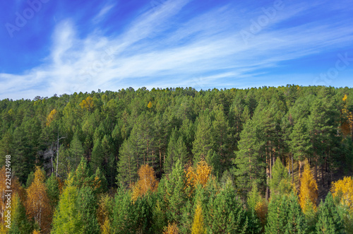 beautiful autumn landscape, forest and blue sky