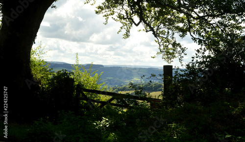 devon countryside from old wooden gate