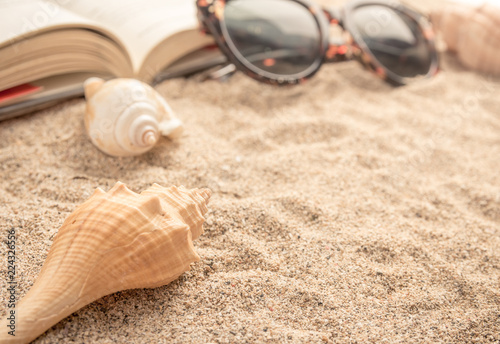 Sea shells on sand with book and sunglasses with warm afternoon sunlight.