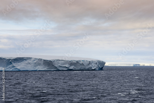 Huge Tabular Icebergs floating in Bransfield Strait near the northern tip of the Antarctic Peninsula  Antarctica