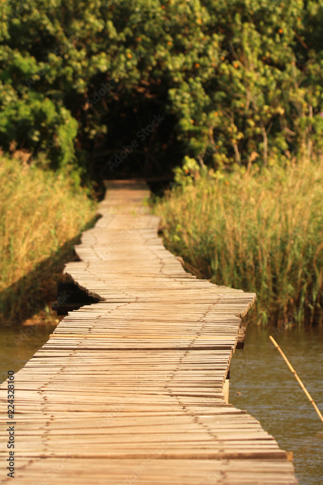 Obraz premium Wooden walkway disappearing into the wild bush