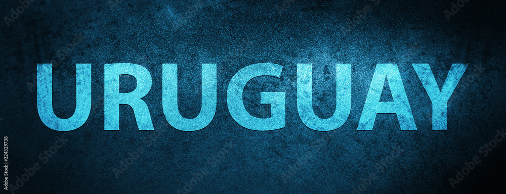 Uruguay special blue banner background