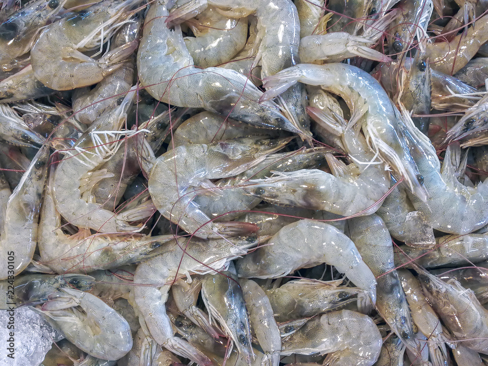 fresh shrimps for sale in local fresh market.