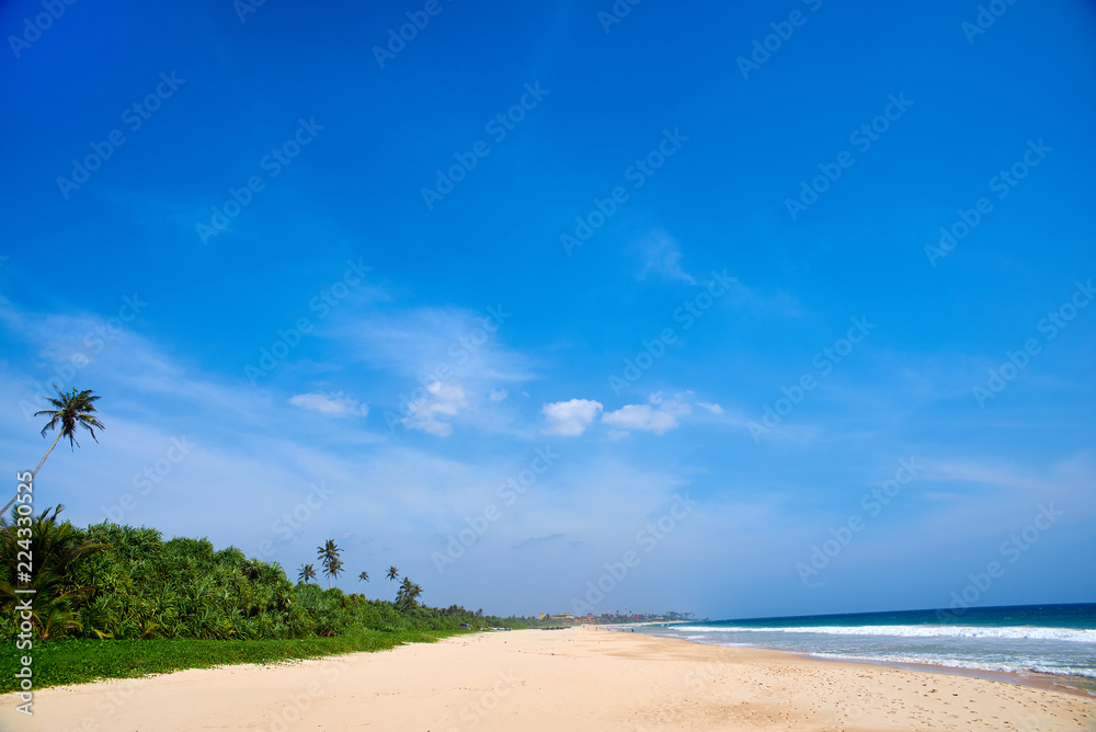 nice landscape with the ocean and palm trees nice landscape with the ocean and palm trees
