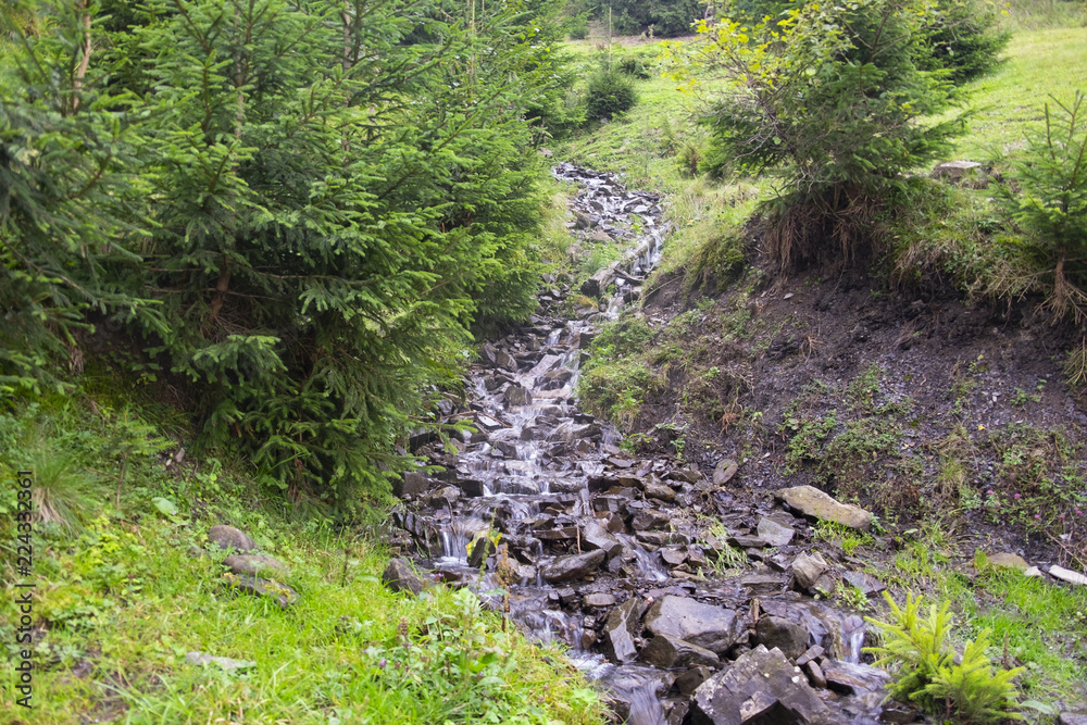 mountain creek with drinking water mountain creek with drinking water