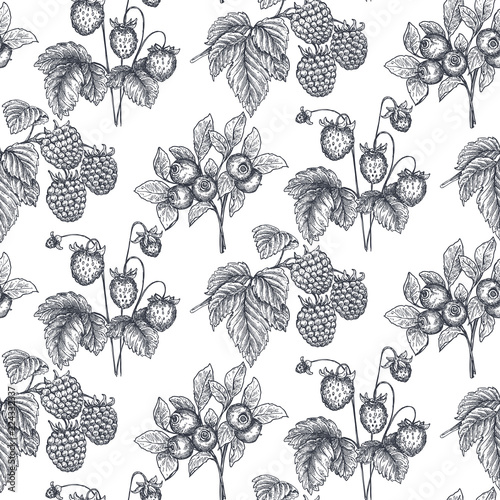 Vector seamless pattern with hand drawn berries in sketch style.