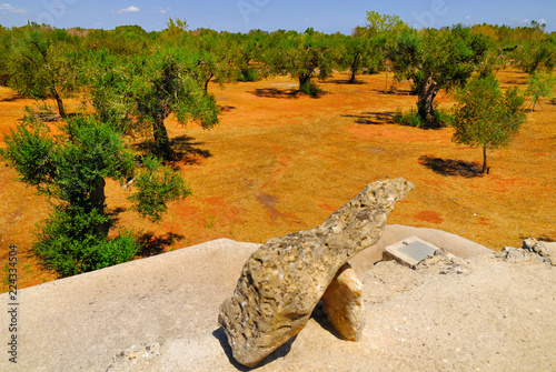 Old stone cistern with ancient olive trees, Salento, Apulia region, south Italy