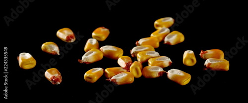 Raw corn kernels isolated on black background