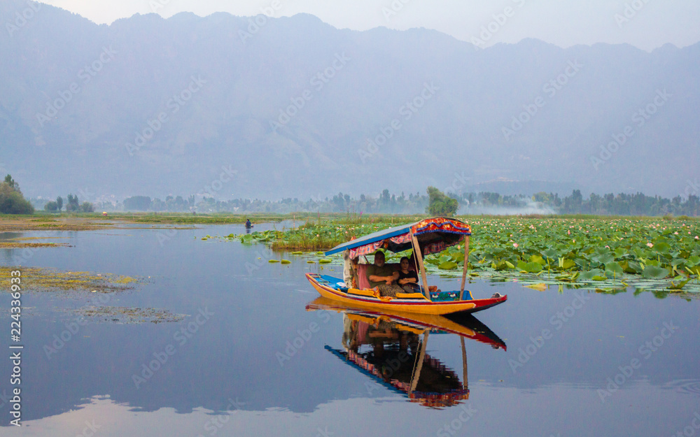 Fototapeta łódź Shikara w Srinagar w Indiach