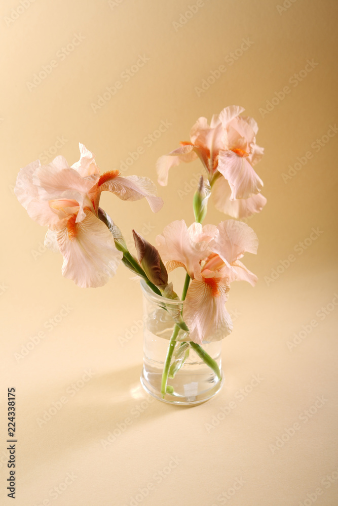 Three iris flowers above in vase Three iris flowers above in vase