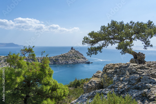 View of the Crimean coast. The view from the mountains on the Novyi Svet, a Cape Kapchik. The trees are similar to bonsai.