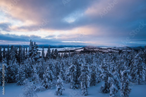 Fototapeta Naklejka Na Ścianę i Meble -  Snowy Landscape in Sweden, Europe