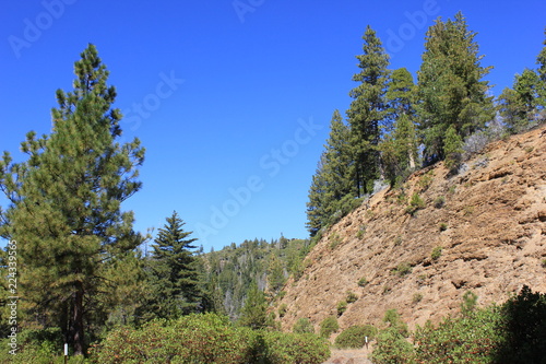 Lanschaftsbild mit Bäumen und blauem Himmel im Yosemite Nationalpark photo