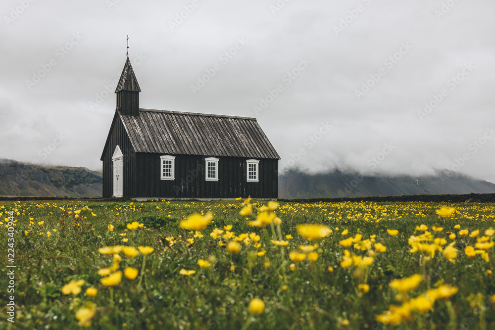 dramatic shot of Budir church on green meadow with yellow flowers at Snaefellsnes, Iceland