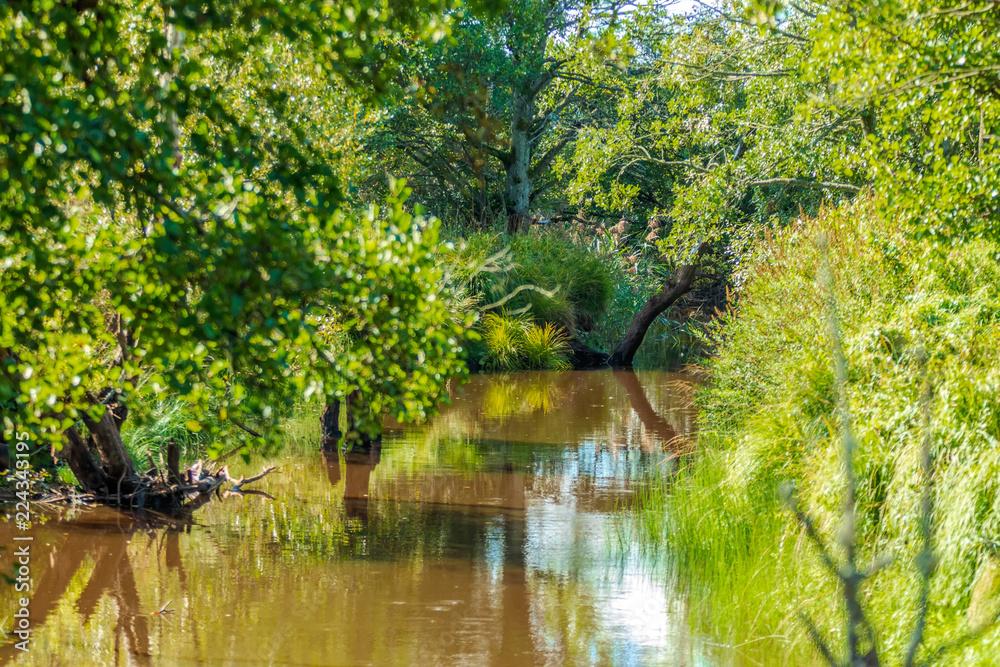 Vattendrag genom landsbygd