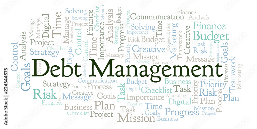 Debt Management word cloud, made with text only.