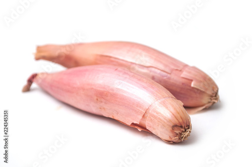 closeup of long Shallots on white background