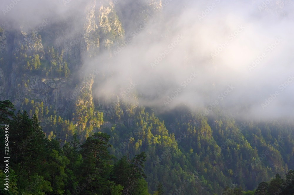 Beautiful mountans valley with forest in fog and clouds