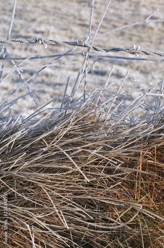 Glitzernde Winterlandschaft am Morgen, Raureif bedeckte Wiesen, Zäune, Maschendrahtzäune
