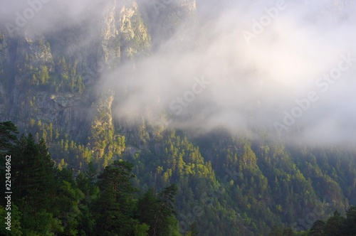 Beautiful mountans valley with forest in fog and clouds