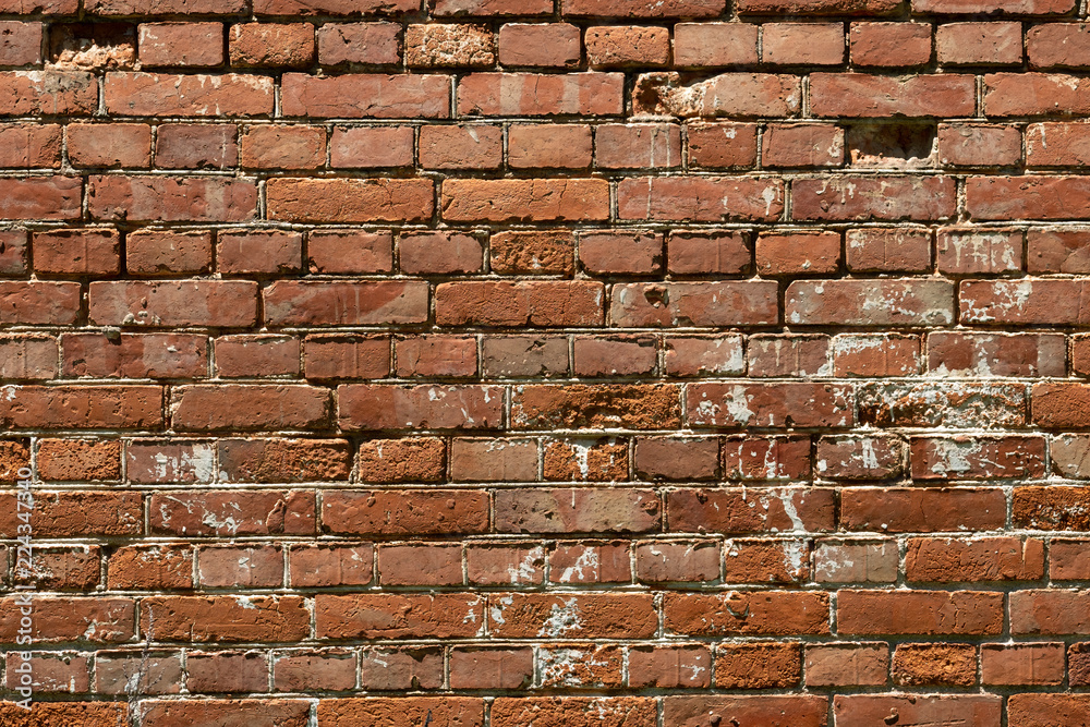 Obraz premium Brick wall of old bricks.